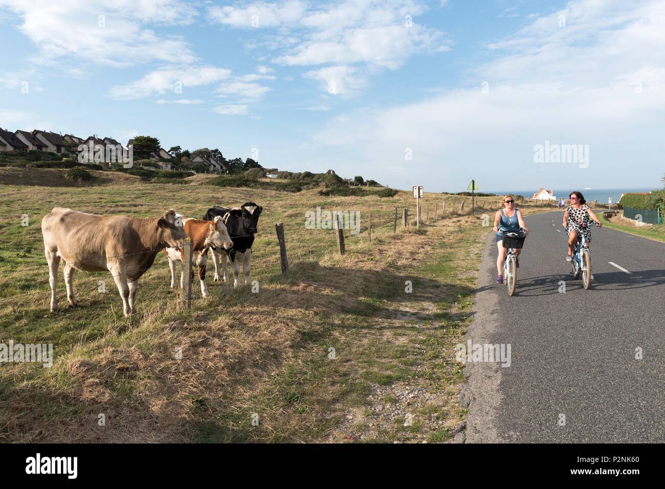 La France, Pas de Calais, Audinghen, Côte d'Opale, Grand Site des deux  caps, Parc Naturel Régional des caps et marais d'Opale, balade en vélo  électrique Photo Stock - Alamy