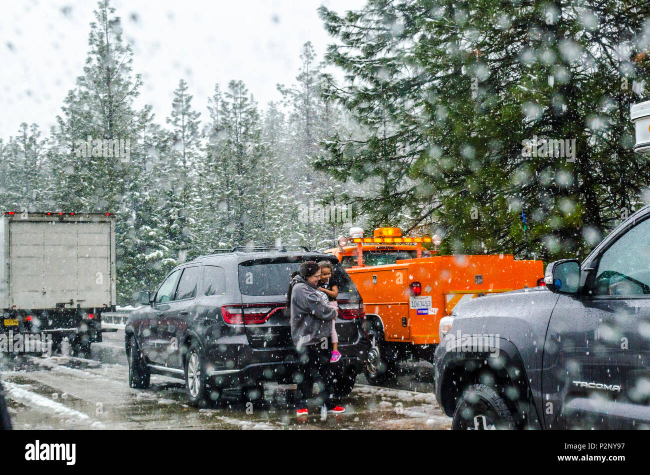 Vehilces s'est arrêté sur l'Interstate 5 à cause d'un accident près de Castella California USA dans une tempête en attente de l'autoroute pour être effacée. Banque D'Images