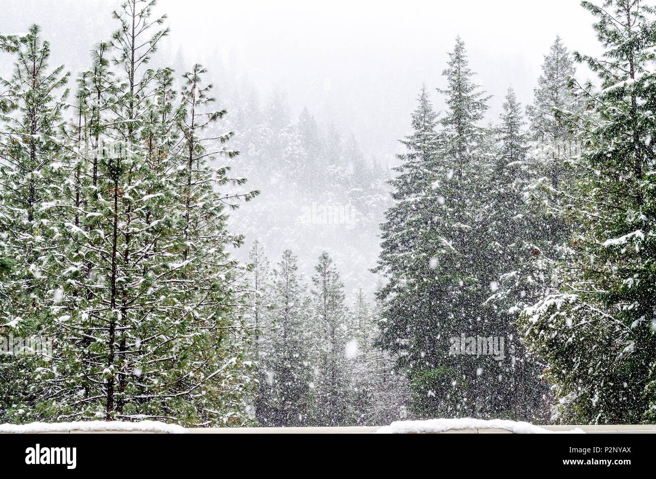 Une tempête de mars le long de l'Interstate 5 dans la chaîne des Cascades de la Californie du Nord Banque D'Images