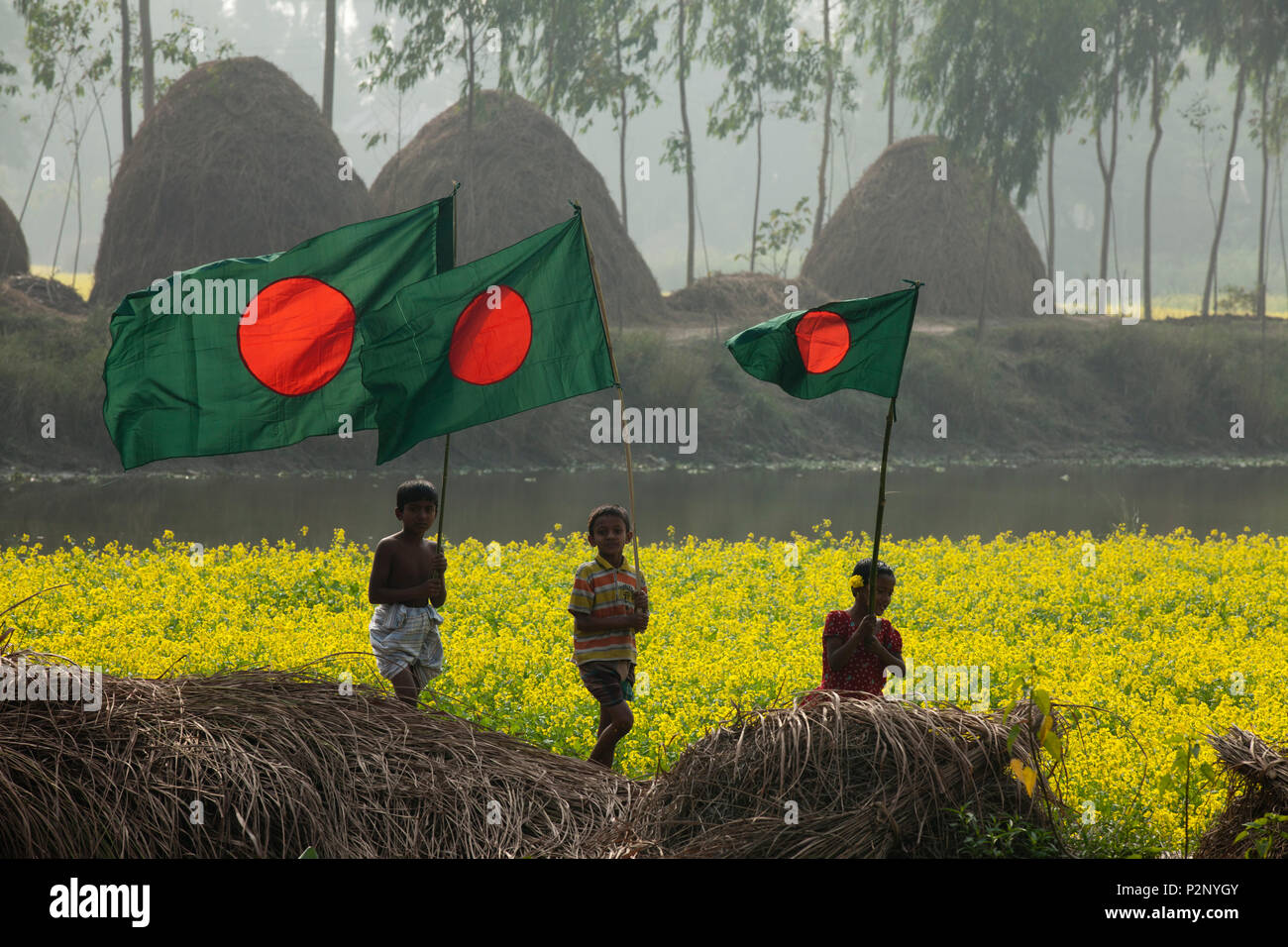 Les enfants des régions rurales du Bangladesh s'exécuter avec drapeau national du Bangladesh à travers un champ de moutarde à Chalan Beel à Natore. Le Bangladesh. Banque D'Images