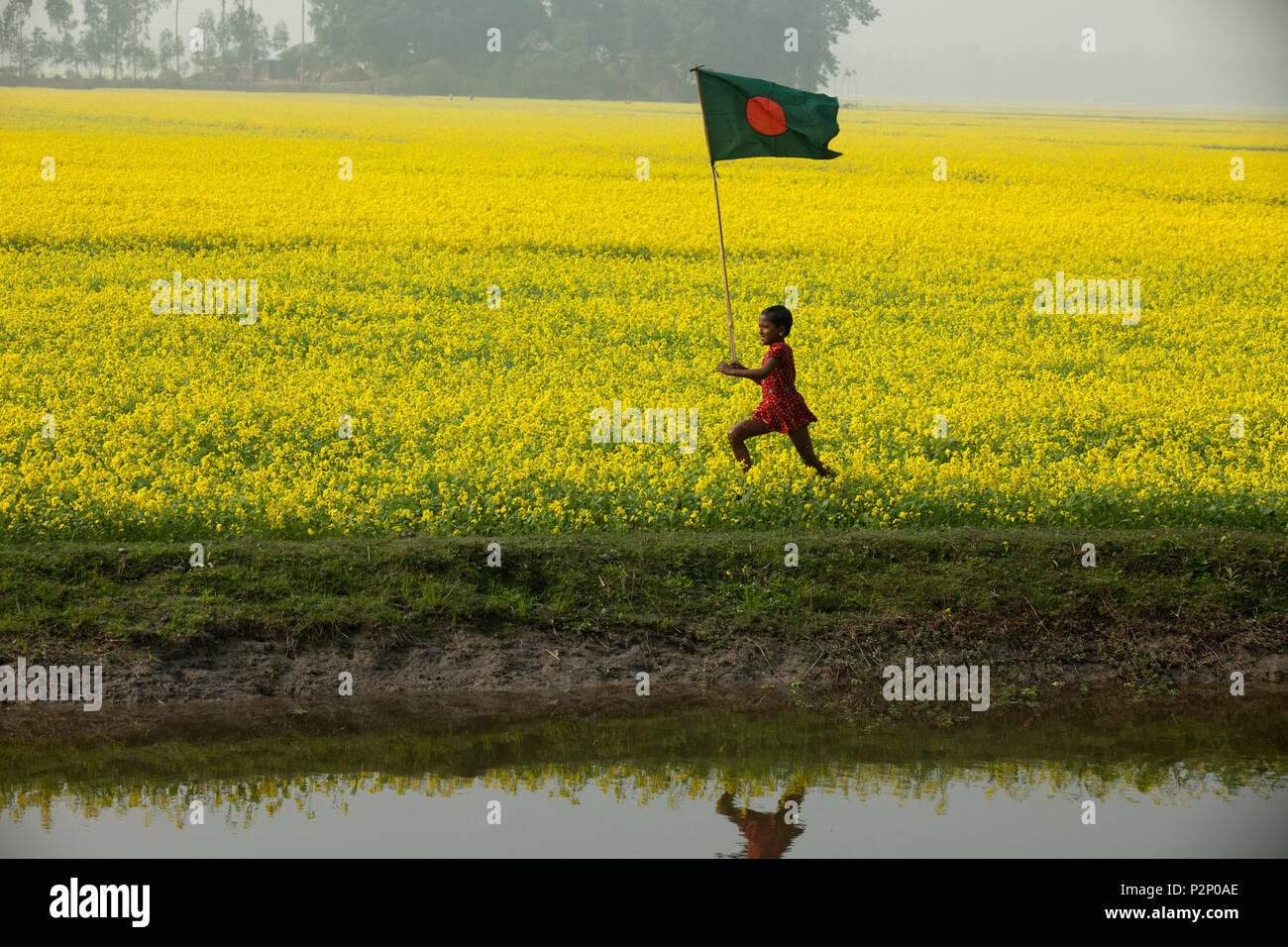 Une fille court rural du Bangladesh avec drapeau national du Bangladesh à travers le champ de moutarde à Chalan Beel à Natore. Le Bangladesh. Banque D'Images