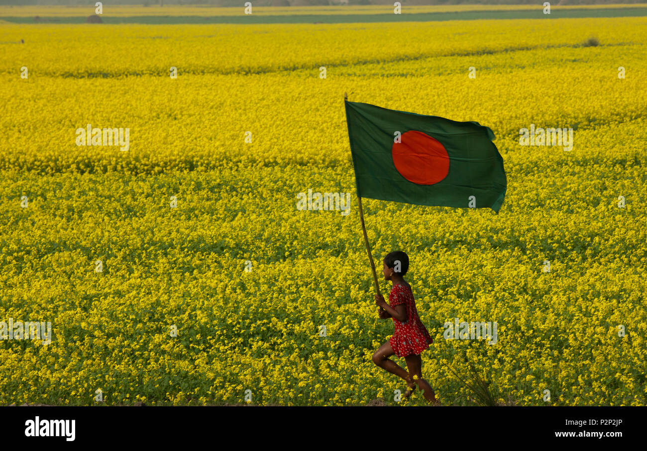 Une fille court rural du Bangladesh avec drapeau national du Bangladesh à travers le champ de moutarde à Chalan Beel à Natore. Le Bangladesh. Banque D'Images