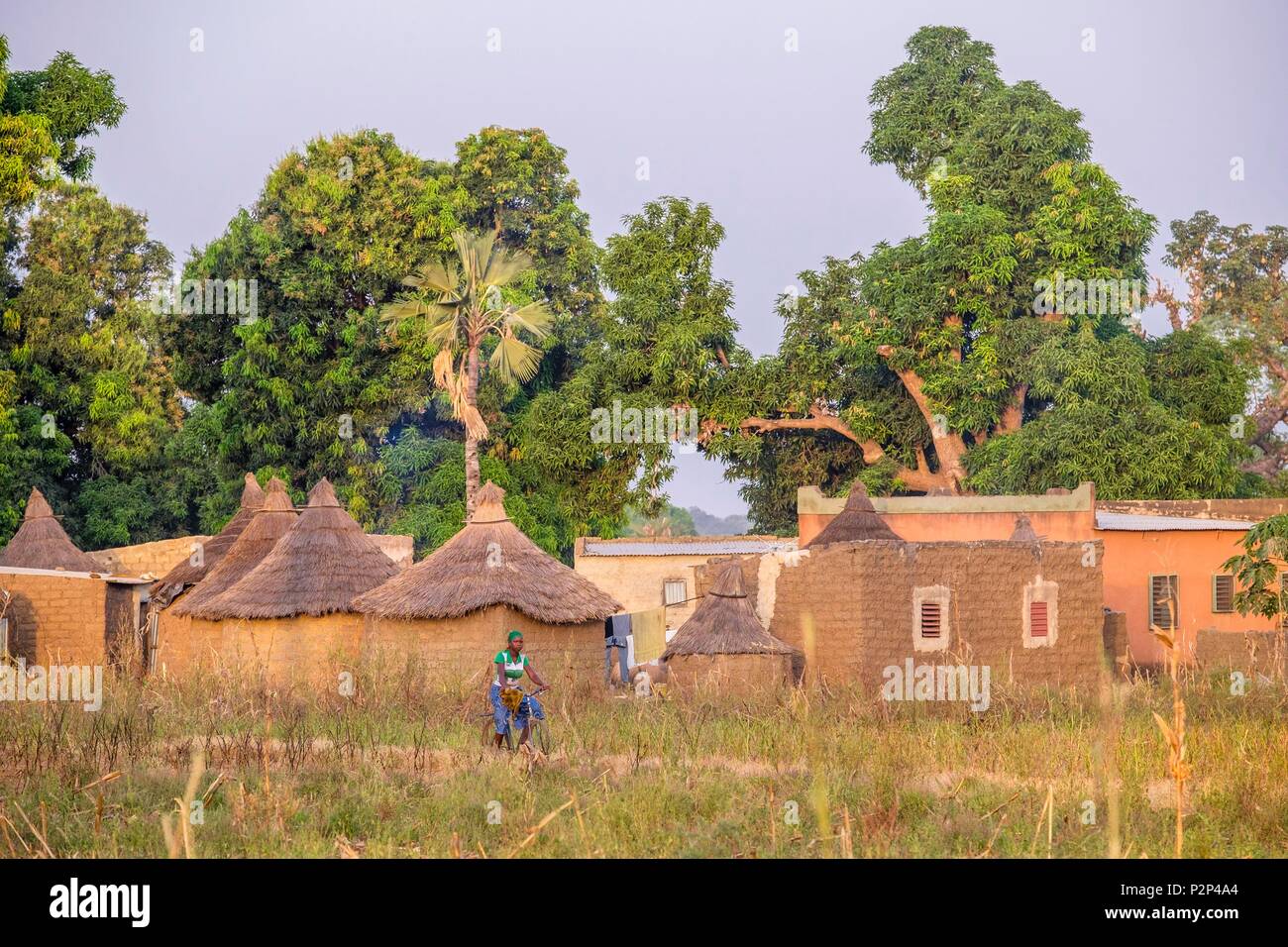 Le Burkina Faso, région des Cascades, Tengrela, maisons traditionnelles de boue Banque D'Images
