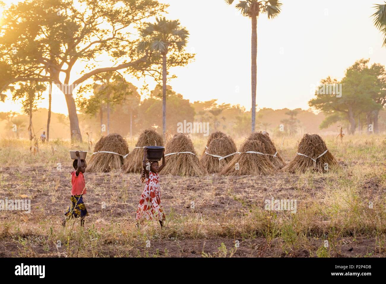 Le Burkina Faso, région des Cascades, Tengrela, les enfants reviennent de la même Banque D'Images