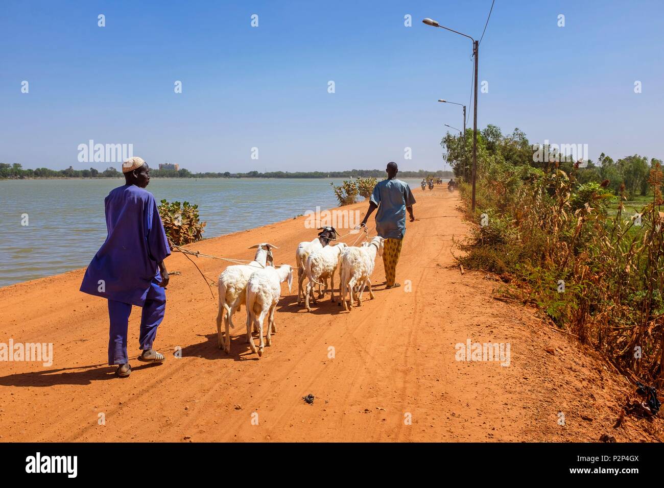 Le Burkina Faso, région Centre, Ouagadougou, le lac de barrage barrage numéro 3 Banque D'Images