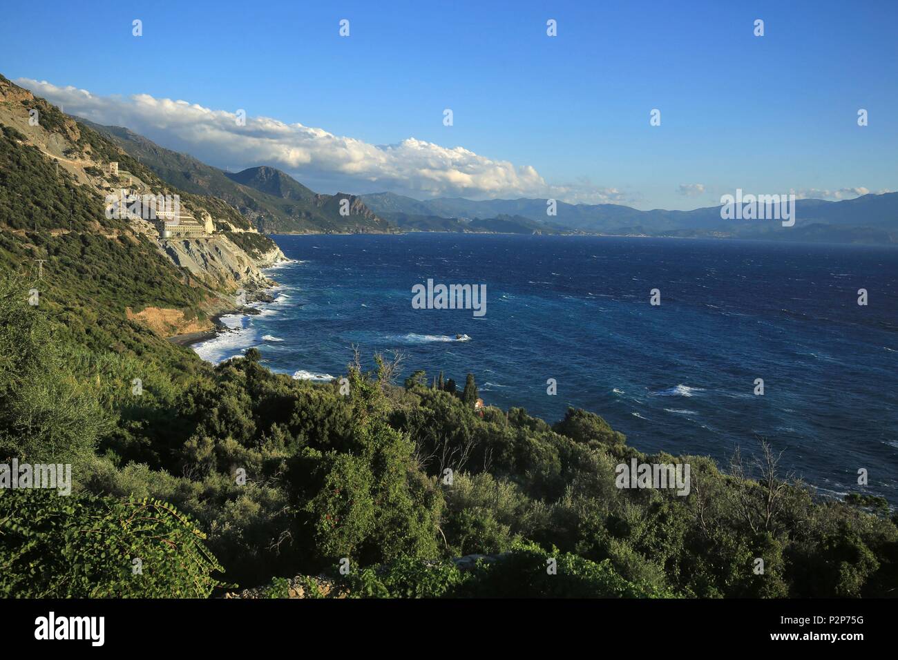 France Haute Corse Cap Corse Paysage Du Cap Corse Près De