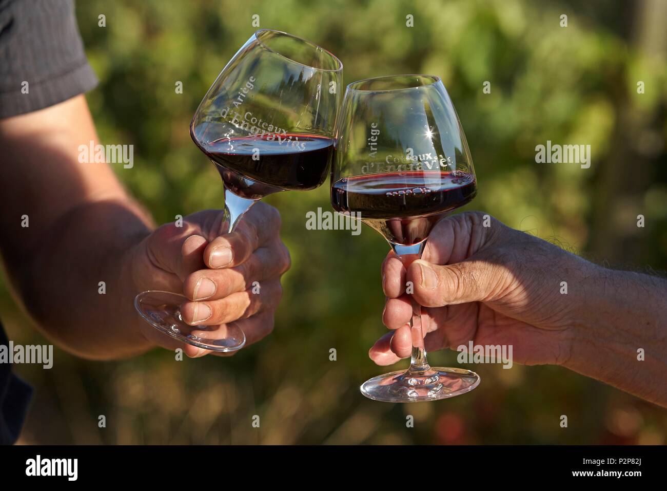 La France, l'Ariège, vignoble Coteaux d'Engravies, Dégustation avec Vigneron Thomas Piquemal, verres de vin rouge Banque D'Images