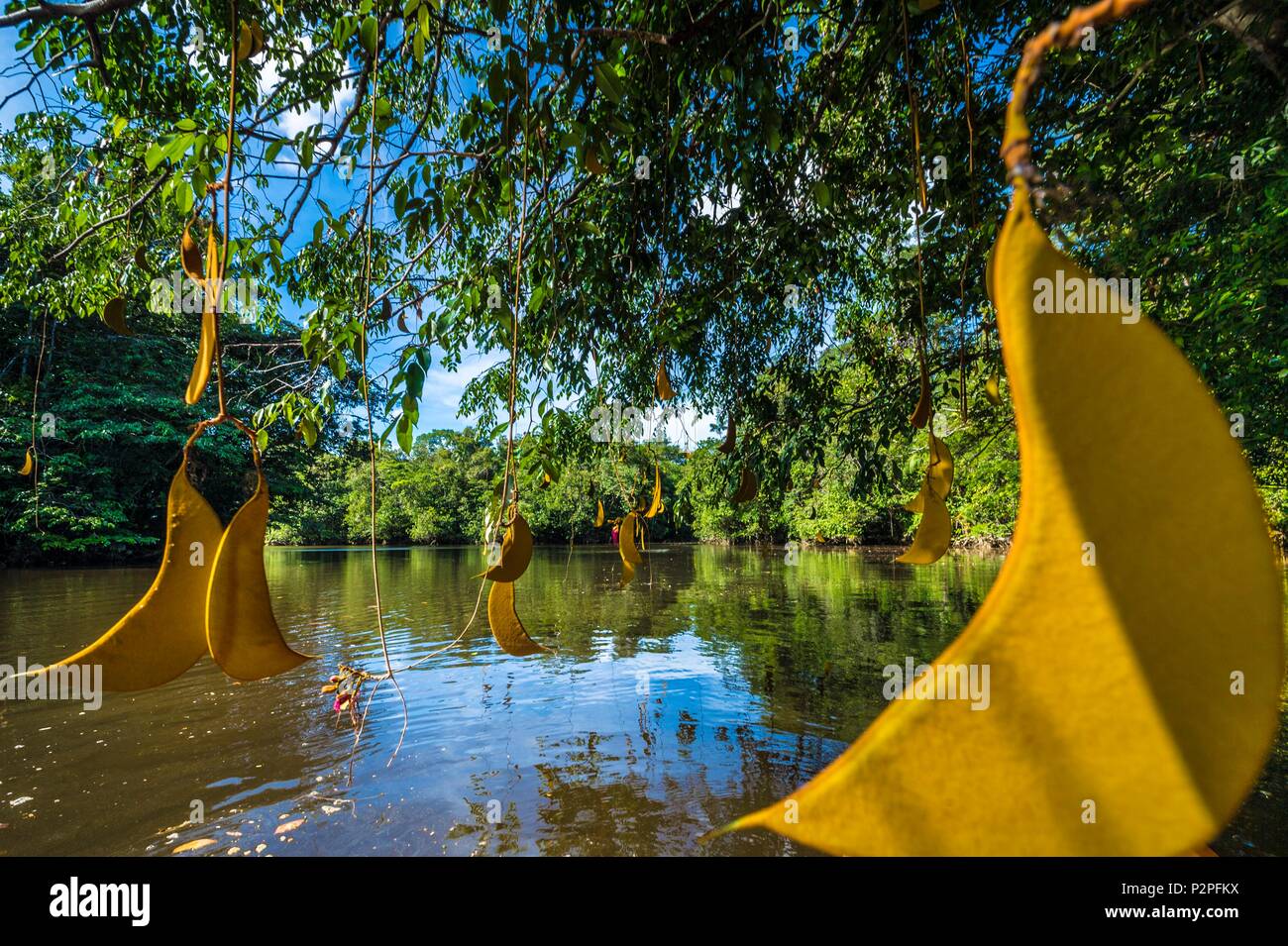 Guyane française Banque de photographies et d’images à haute résolution