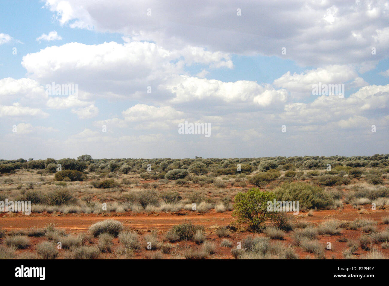 Paysage de l'Outback, l'Australie Occidentale Banque D'Images