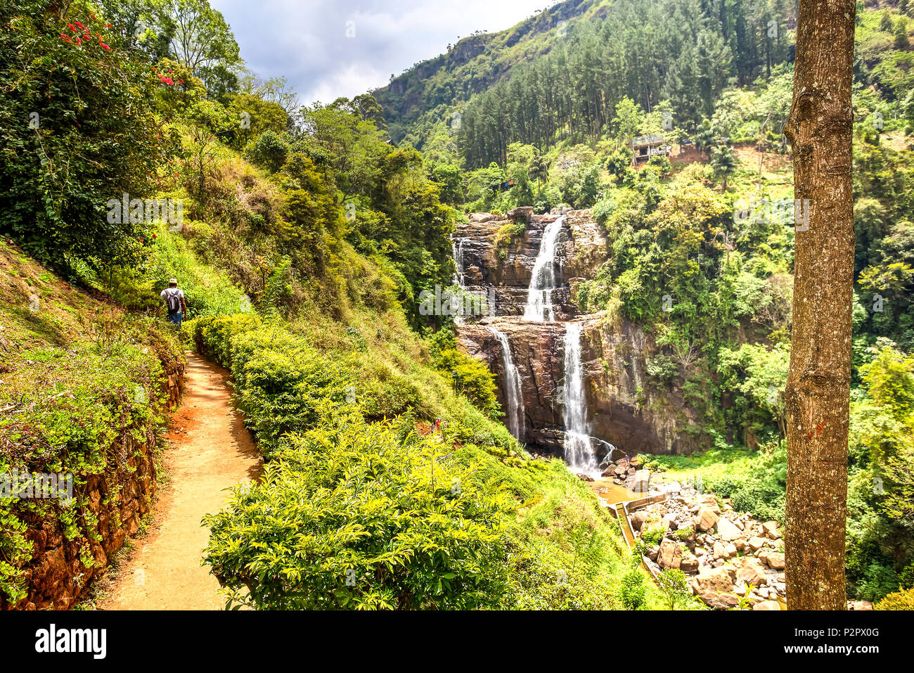 Vue d'une cascade dans la jungle, appelé Ramboda, entre les plantations de thé au Sri Lanka. Banque D'Images