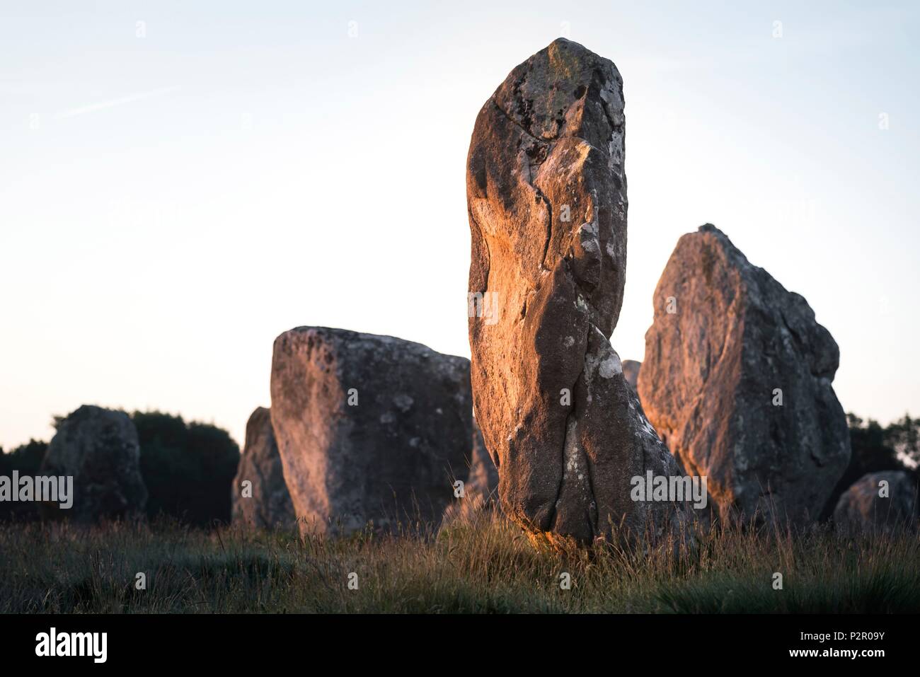 France, Morbihan, Carnac, les alignements de Kermario Banque D'Images