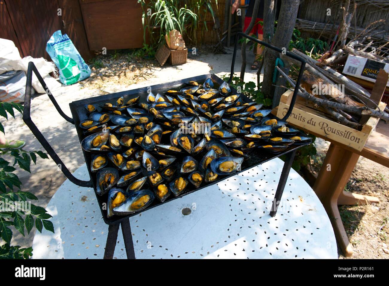 France Pyrenees Orientales Barcares L Ile De Pecheurs Les Moules Cuites Au Feu De Bois Avec Des Pieds La Brasucade Photo Stock Alamy