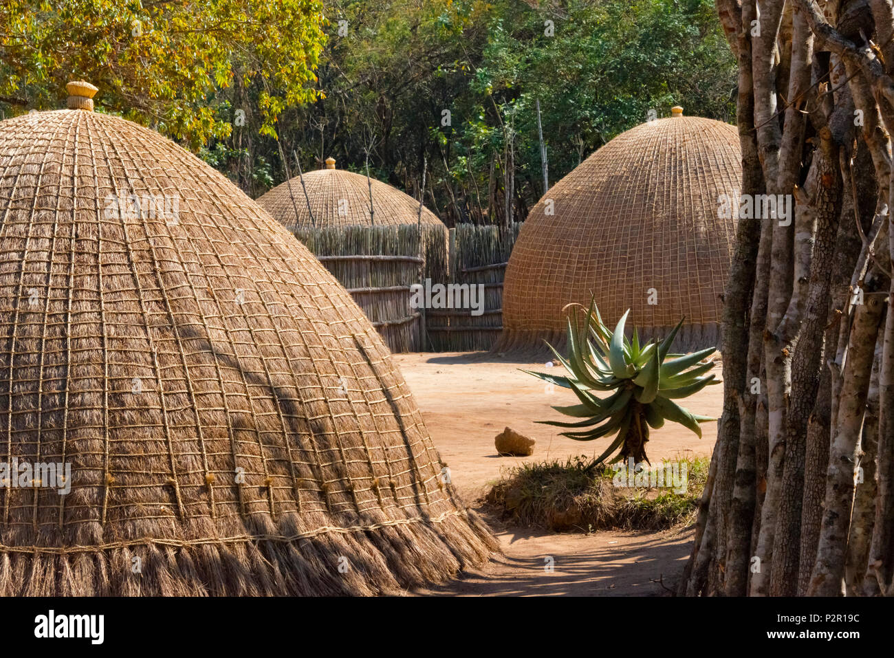 Dome traditionnelles maisons faites de paille et Reed, Mantenga Cultural Village, au Swaziland Banque D'Images