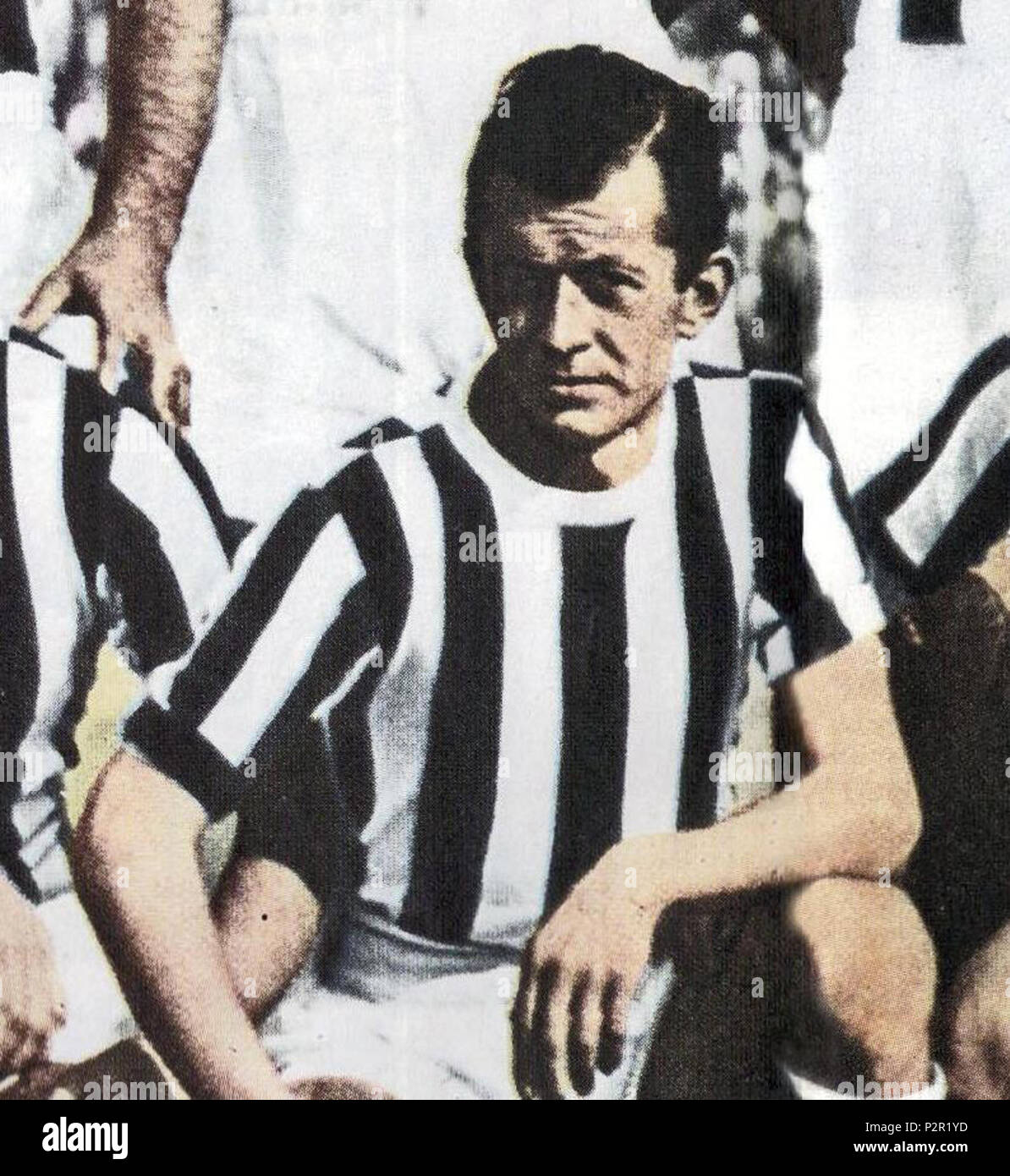 . Italiano : Il calciatore italiano Ermes Muccinelli alla Juventus nella stagione 1951-52. Entre 1951 et 1952. Photo de Foto Archivio GS et Collezione Lamberto Bertozzi rognée par Danyele 45 Juventus Football Club 1951-1952 - Ermes Muccinelli Banque D'Images