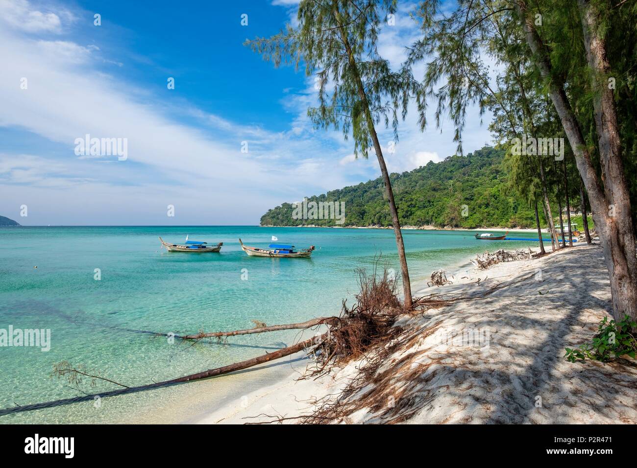 La Thaïlande, province de Phang Nga, Parc national marin de Tarutao, Ko Adang, plage de Laem Son bordé de filaos Banque D'Images