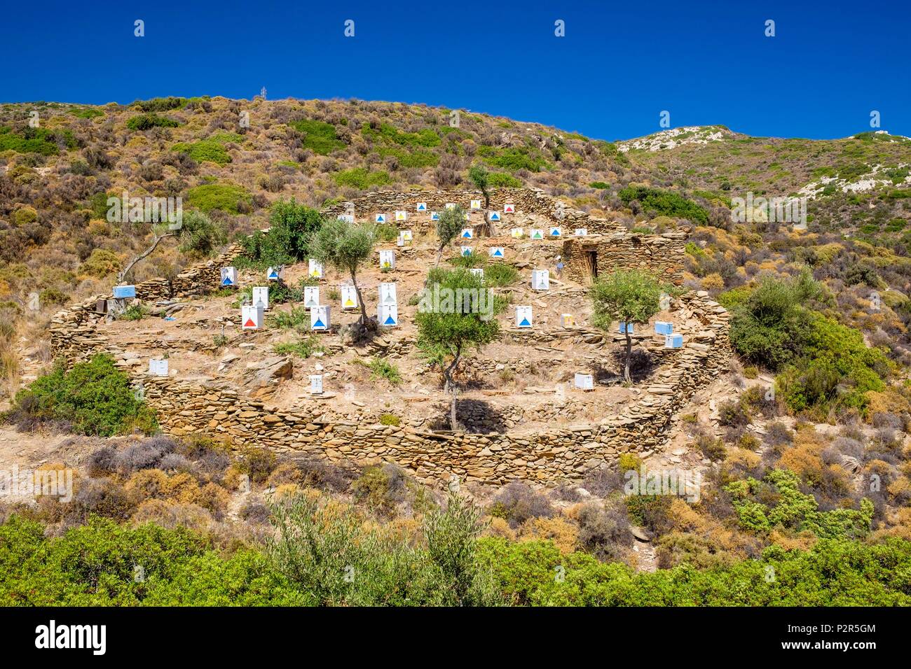 La Grèce, l'archipel de Fourni Korseon, île de Fourni, le rucher produisant un délicieux miel de thym Banque D'Images