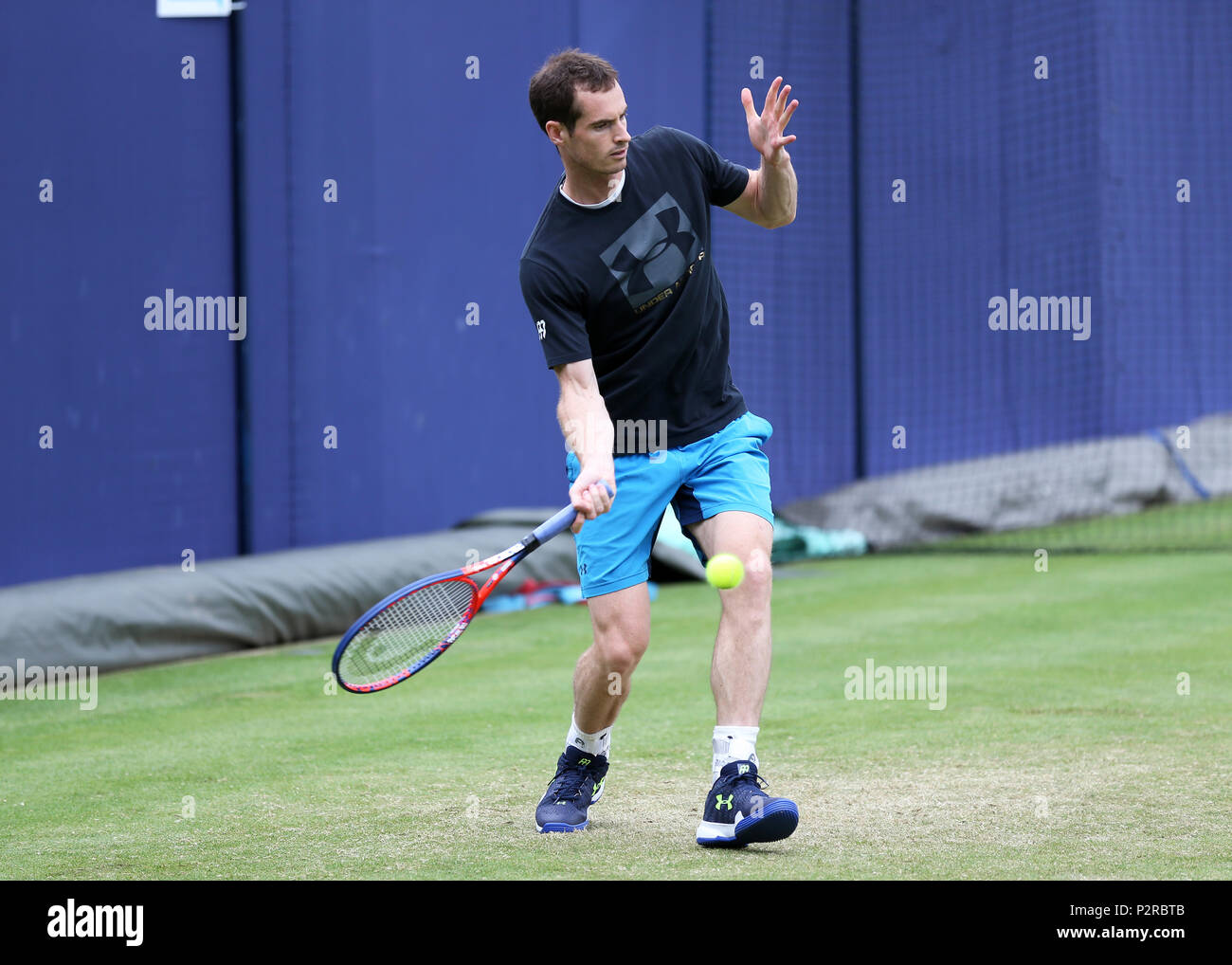 Queens Club, London, UK. 16 Juin, 2018. L'arbre de la fièvre ; Championnats de tennis Andy Murray (GBR) lors d'une session pratique sur sept cour après le succès de la chirurgie de la hanche deux jours avant la compétition contre monde numéro 24 Nick Kyrgios (AUS) : Action de Crédit Plus Sport/Alamy Live News Banque D'Images