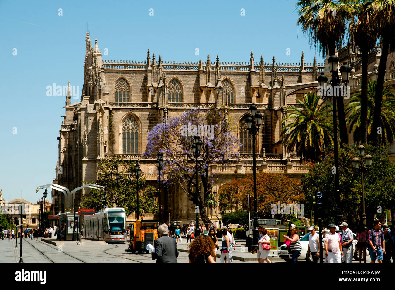 Séville, ESPAGNE - juin 1, 2016 : Les piétons & vie de ville près de la Cathédrale de Séville Banque D'Images