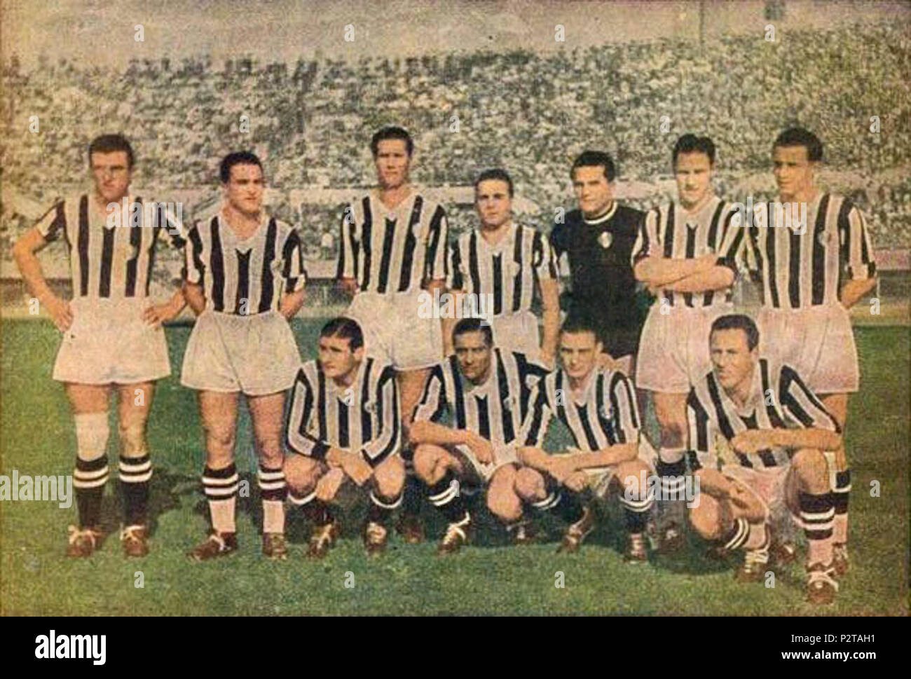 . Italiano : Una formazione della Juventus Cisitalia nella stagione 1942-43. Da sinistra, en moto : C. Parola, C. Sentimenti (III), G. Varglien (II), M. Ventimiglia, L. Sentimenti (IV), A. Foni, U. Locatelli ; accosciati : T. Depetrini, G. Meazza, S. Bellini, R. Lushta. vers 1942. Inconnu 44 Juventus Cisitalia 1942-1943 Banque D'Images . Italiano : Una formazione della Juventus Cisitalia nella stagione 1942-43. Da sinistra, en moto : C. Parola, C. Sentimenti (III), G. Varglien (II), M. Ventimiglia, L. Sentimenti (IV), A. Foni, U. Locatelli ; accosciati : T. Depetrini, G. Meazza, S. Bellini, R. Lushta. vers 1942. Inconnu 44 Juventus Cisitalia 1942-1943 Banque D'Images