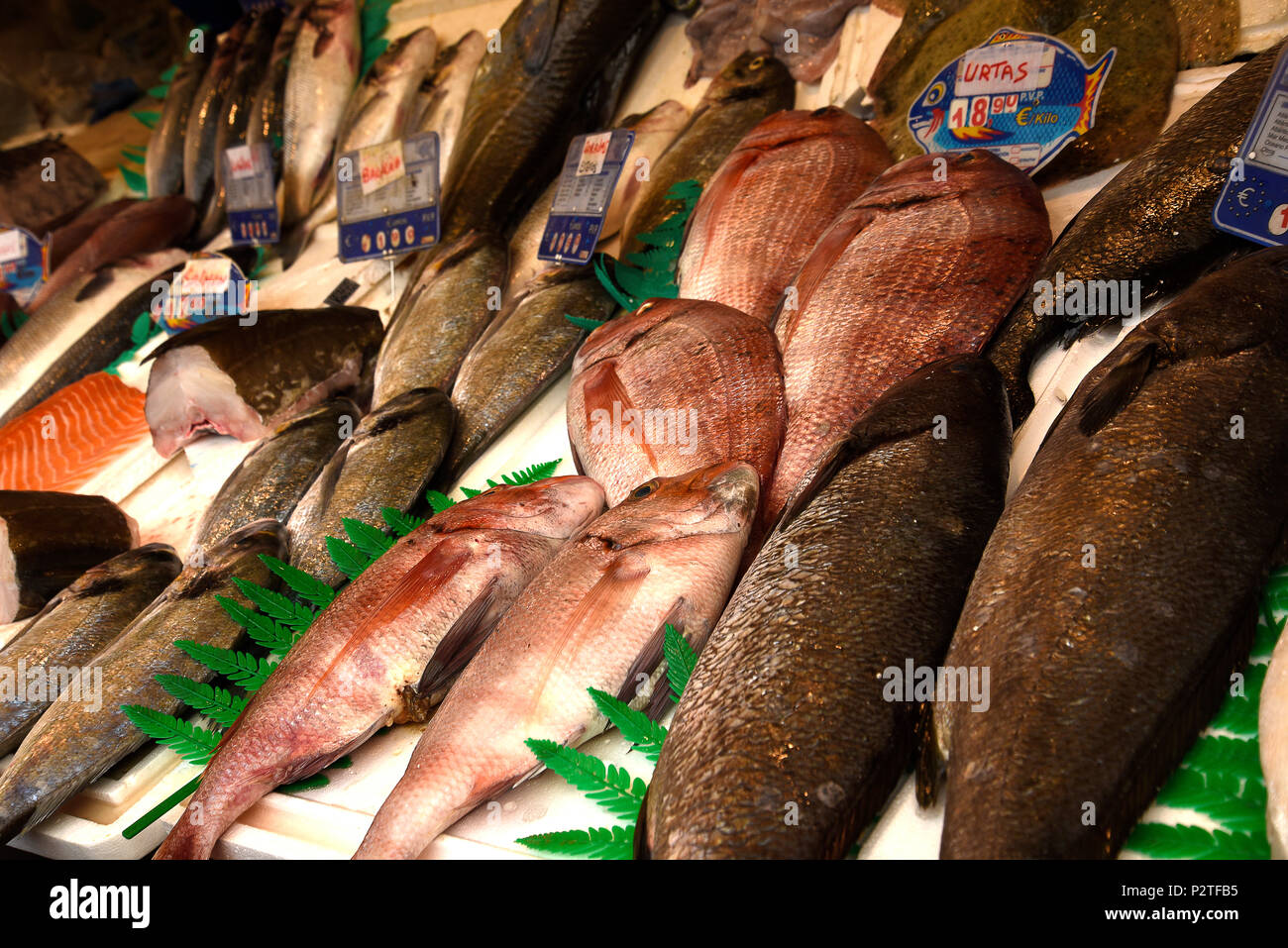 Le marché des aliments et du poisson dans la région de Malaga est construit  dans le style mauresque avec un énorme mur en verre teinté d'un côté. Elle  est belle mais un