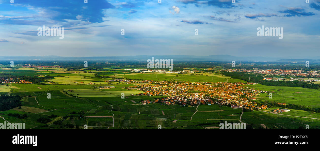 Antenne large vue panoramique haute résolution de coucher de soleil sur la vallée verte de vignes, Alsace, France Banque D'Images