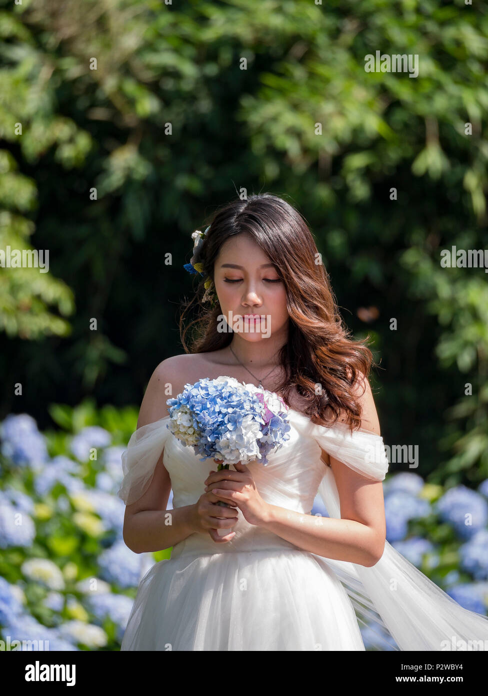 Taipei, 4 juin : Belle robe femme en blanc debout dans Hydrangea macrophylla blossom le 4 juin 2018 à Taipei, Taïwan Banque D'Images