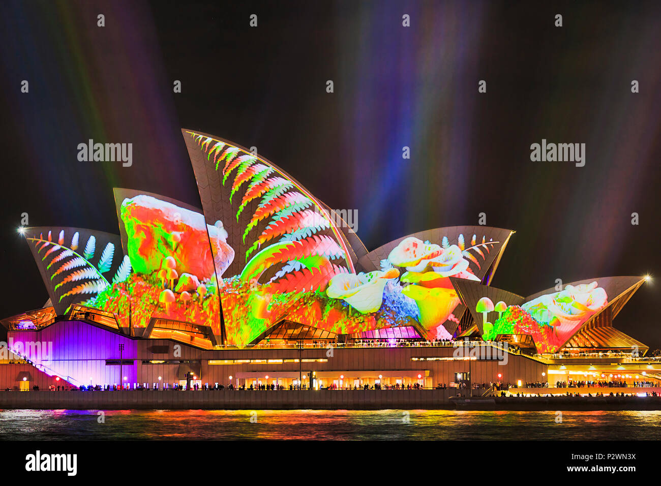 Sydney, Australie - 25 mai, 2018 : la ville de Sydney vue de l'Opéra de Sydney Harbor waterfront pendant light show annuel de la lumière et des idées à brig Banque D'Images