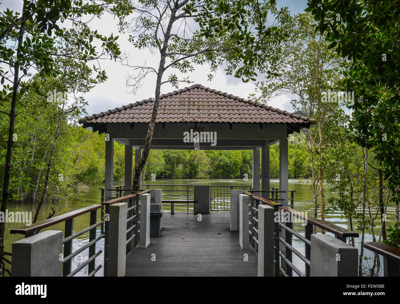 Langkawi, Malaisie - 1 mai 2018. Sentier de randonnée à travers l'épaisse jungle de mangroves naturelles via nos 800 mètres de long board à pied à Langkawi, Malaisie. Banque D'Images