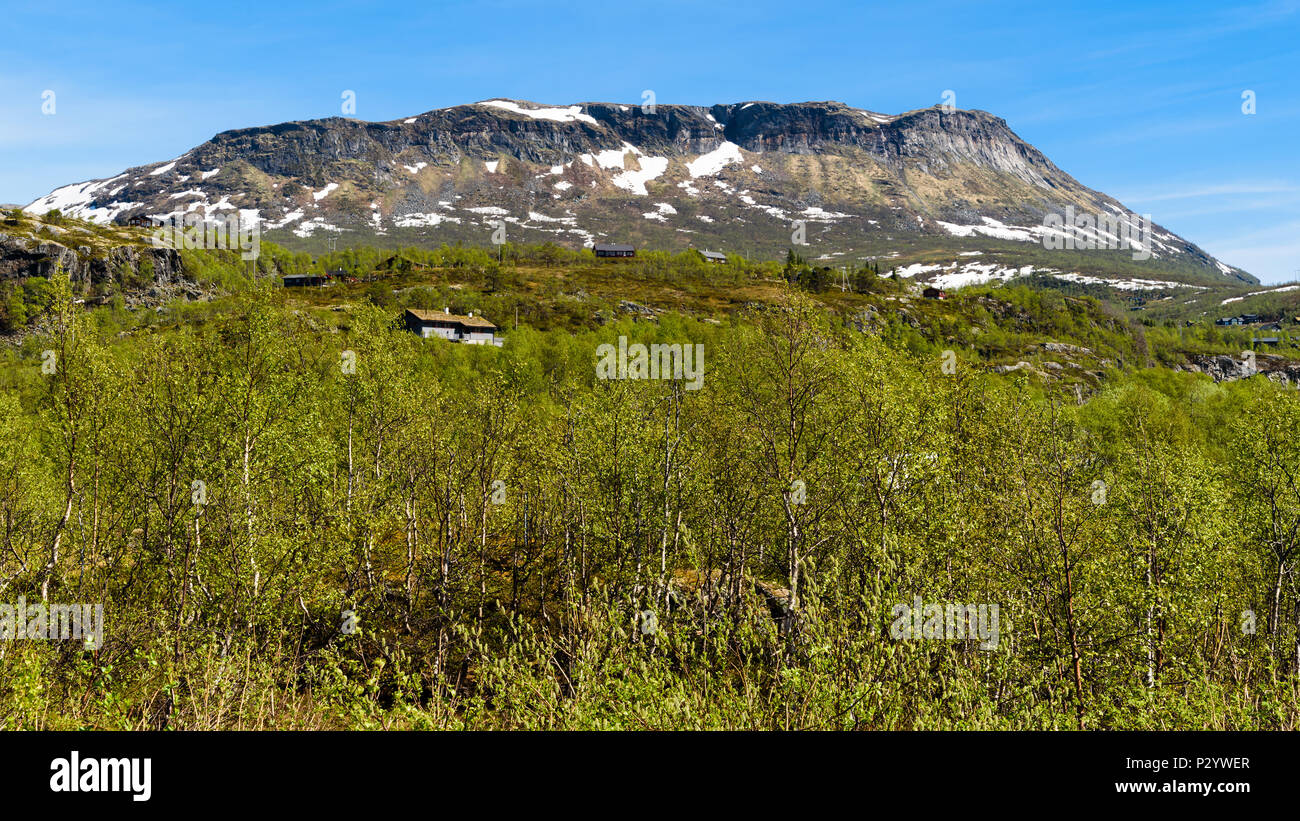 Le sommet de la montagne en Grytehorga Hordaland, Norvège. Banque D'Images