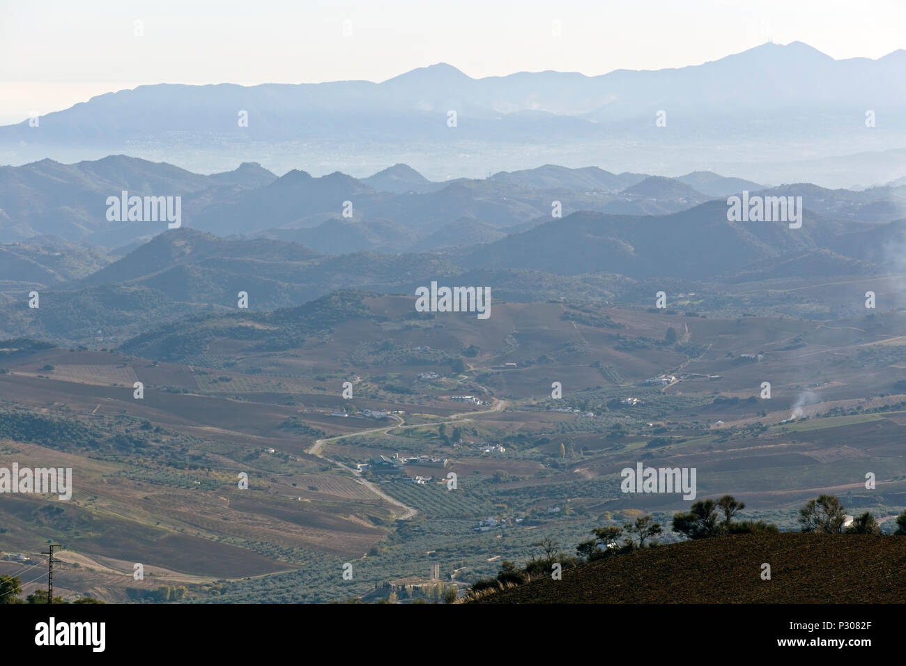 Le brouillard bleu, Montes de Málaga, Andalousie, espagne. Banque D'Images