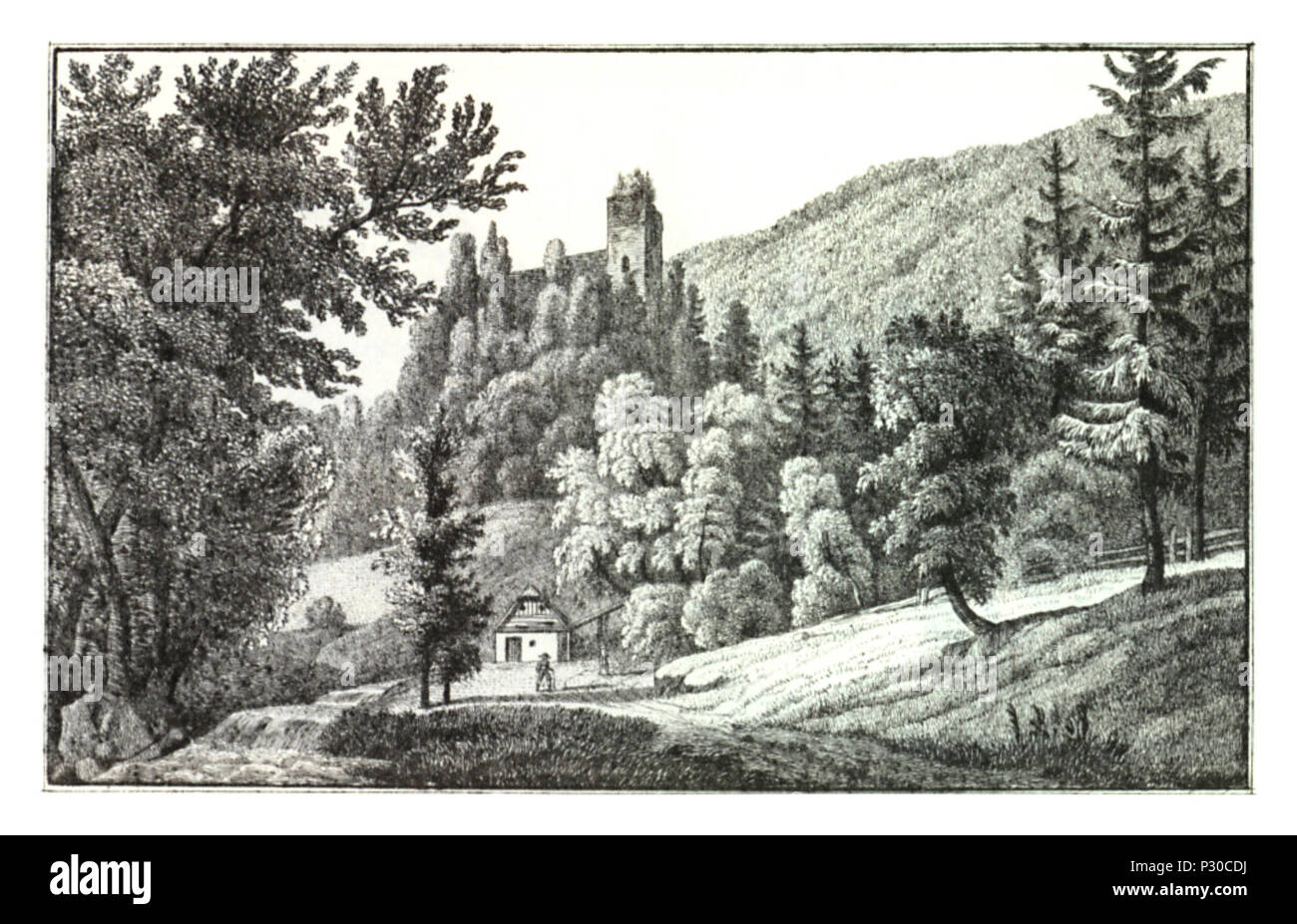 026 Ruine Ehrenfels dans der Radegund bei Klamm Grazer im Kreis - J.F.Kaiser Ansichten der Steiermark 1825 Lithografirte Banque D'Images