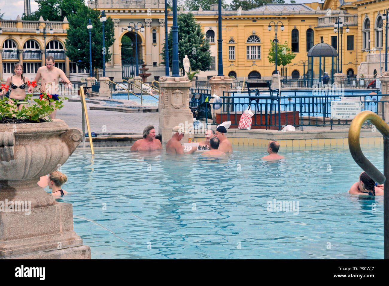 Les gens nager et jouer aux échecs dans la piscine thermale, des bains Szechenyi et extérieure, Budapest, Hongrie, Europe Banque D'Images
