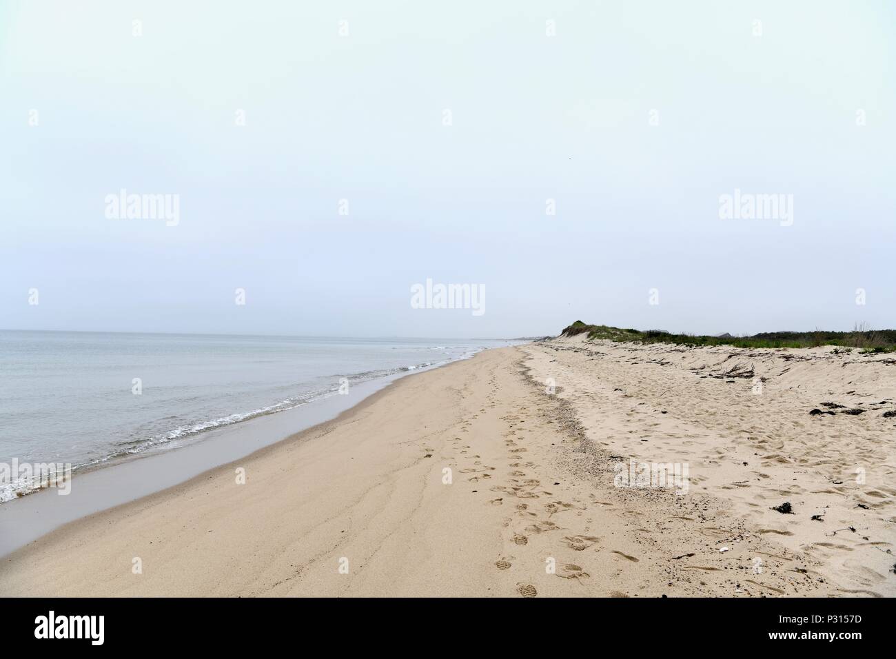 Cape Cod National Seashore, Massachusetts, USA Banque D'Images