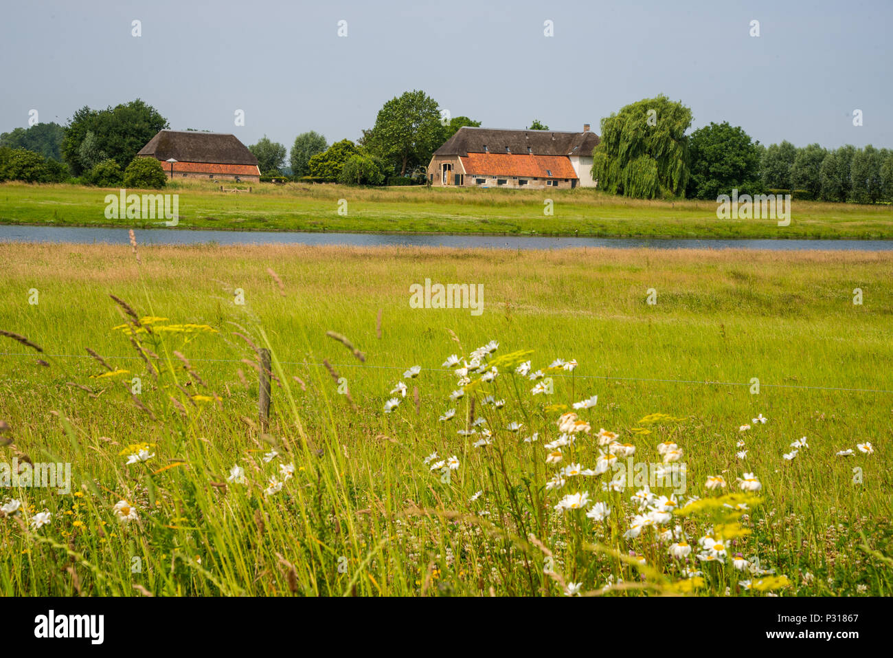 Rivière paysage avec ferme à Overijssel en Hollande Banque D'Images