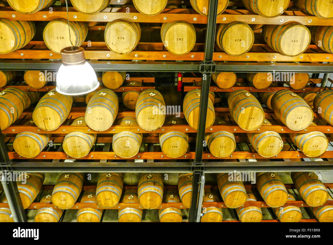 Les tonneaux avec du genièvre, de gin ou de vodka à l'entrepôt de Nolet, Schiedam, Hollande Banque D'Images