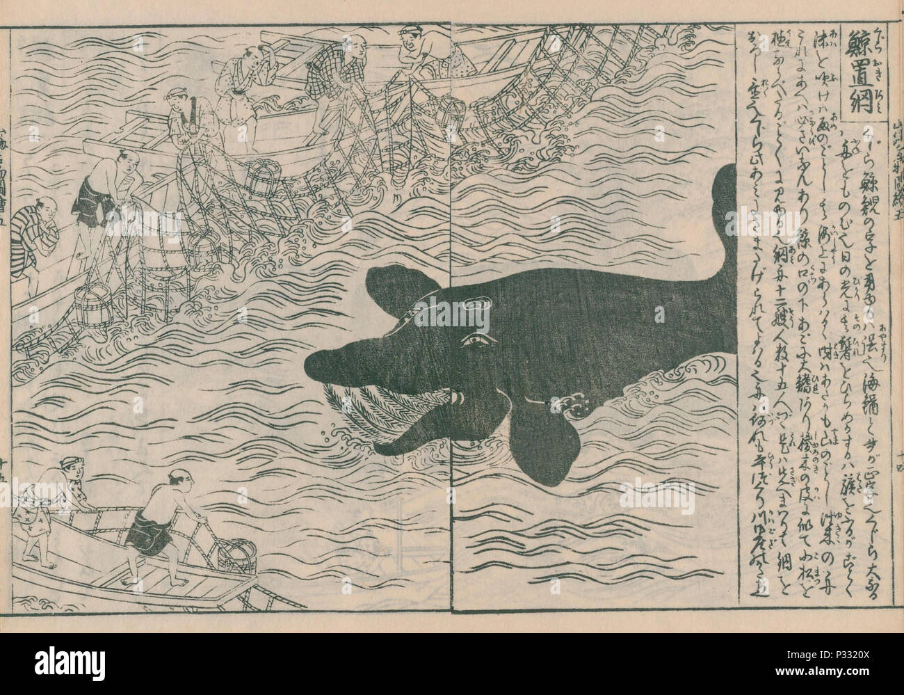 La chasse à la baleine à partir de ' Nihon sankai meisan zue', publié en 1797, l'artiste Hasegawa Mitsunobu, Collection Privée Banque D'Images