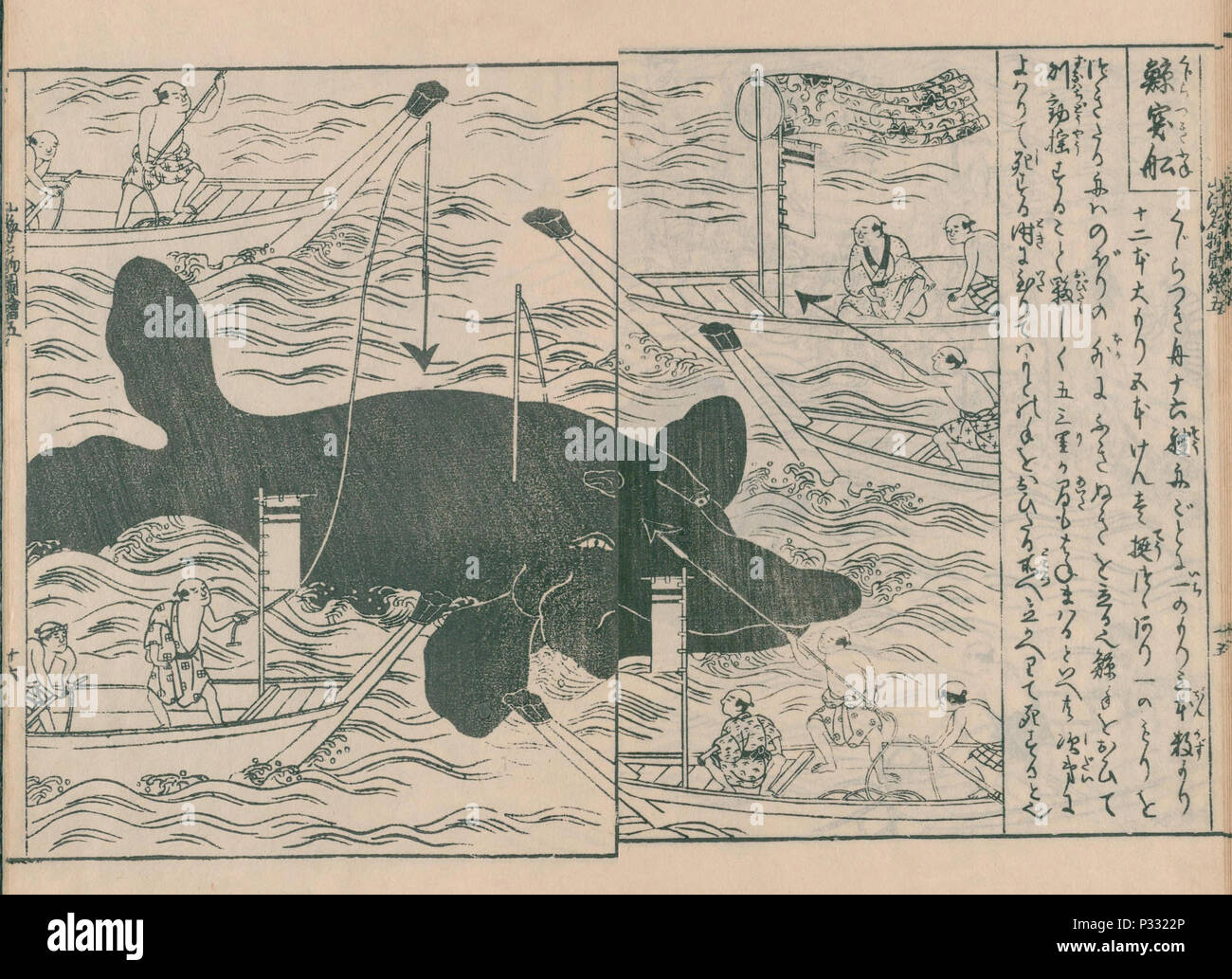 La chasse à la baleine à partir de ' Nihon sankai meisan zue', publié en 1797, l'artiste Hasegawa Mitsunobu, Collection Privée Banque D'Images