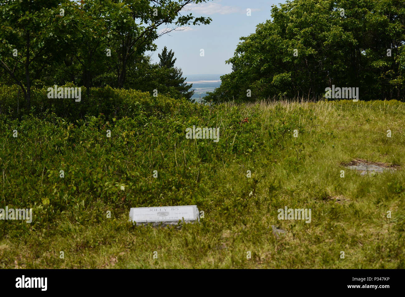 Le Jolly 85 monument à Trembleau Mountain, Keeseville, NY, le 12 juin 2018. Le Mémorial commémore le 40e anniversaire de l'accident 85 Jolly où sept hommes du 102e groupe de sauvetage et de récupération de l'Aérospatiale, aujourd'hui 106e Escadre de sauvetage, Garde nationale aérienne de New York, ont été perdus dans un accident retour aux bases après la formation à Plattsburg AFB, N.Y, 13 juin 1978. (U.S. Photo de la Garde nationale aérienne capitaine principal Sgt. Chéran A. Cambridge) Banque D'Images