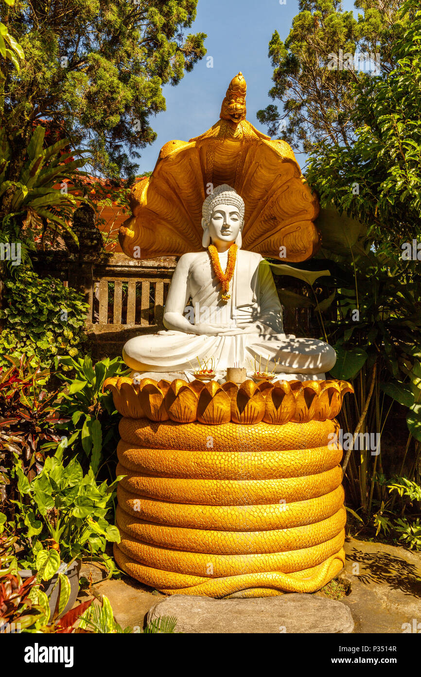 Statue de Bouddha assis au Vihara Dharma Giri, temple bouddhiste dans le village de Pupuan à Tabanan, ouest de Bali, Indonésie. Vertical image. Banque D'Images