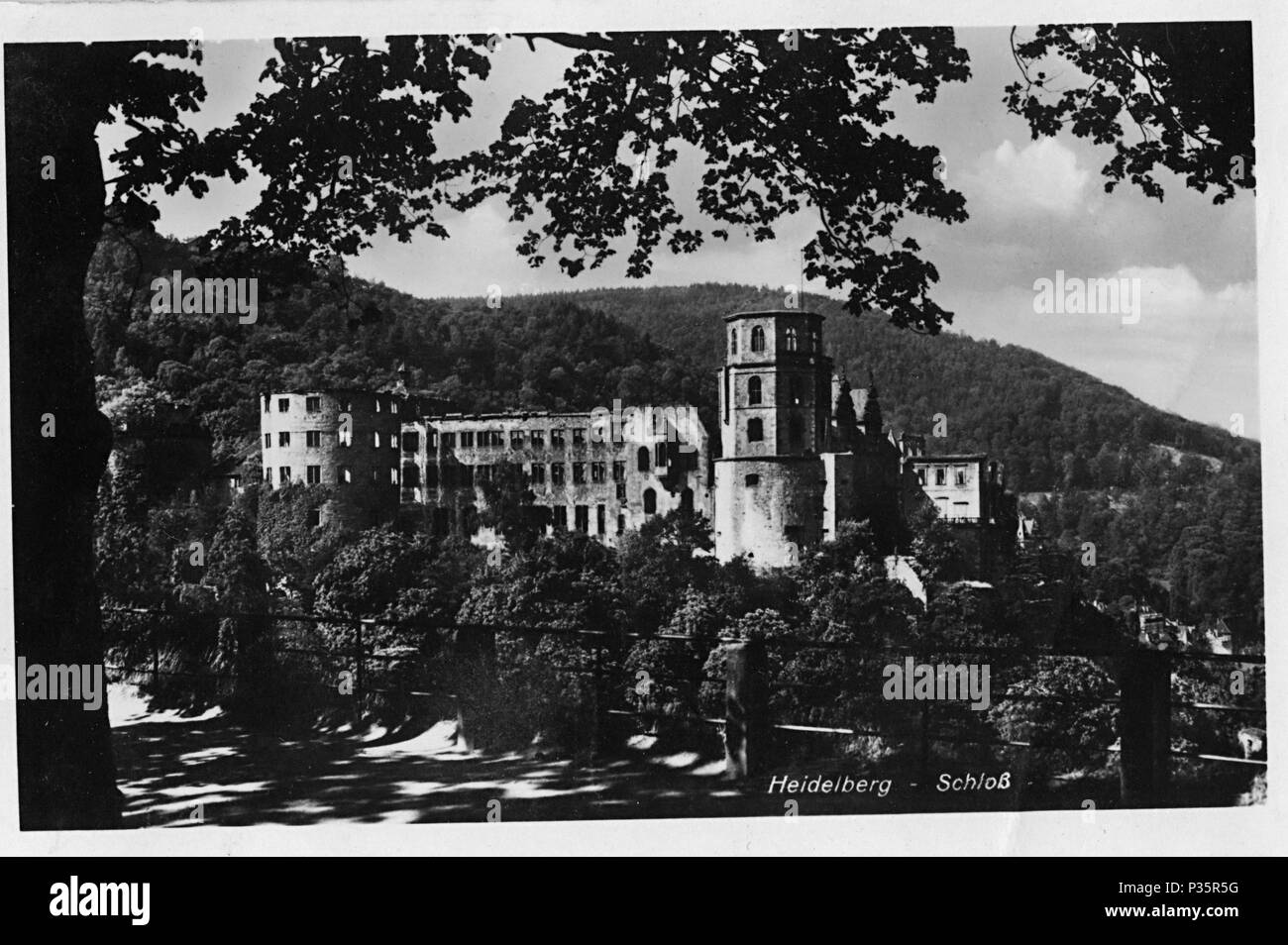 Photo historique, château de Heidelberg, Allemagne Banque D'Images