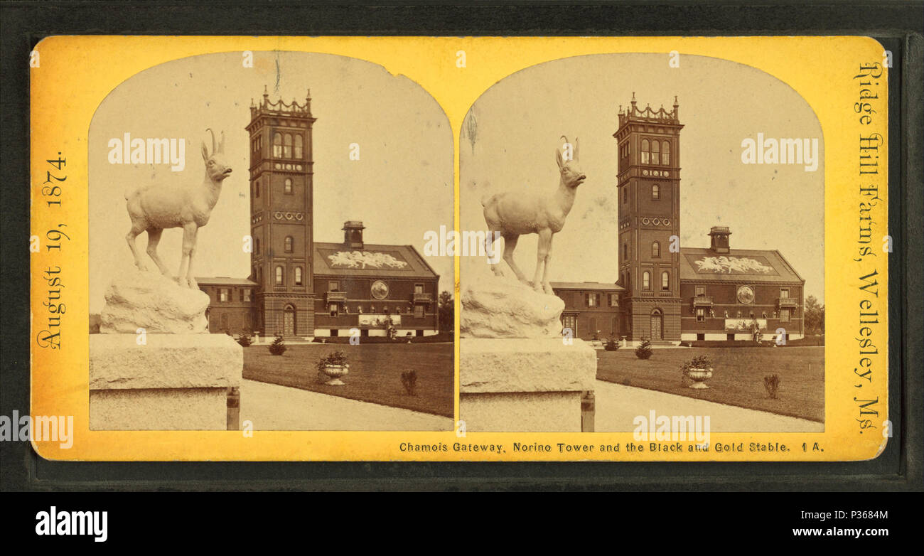 Chamois 61 Gateway, Norino tower et le noir et or, stable à partir de Robert N. Dennis collection de vues stéréoscopiques Banque D'Images