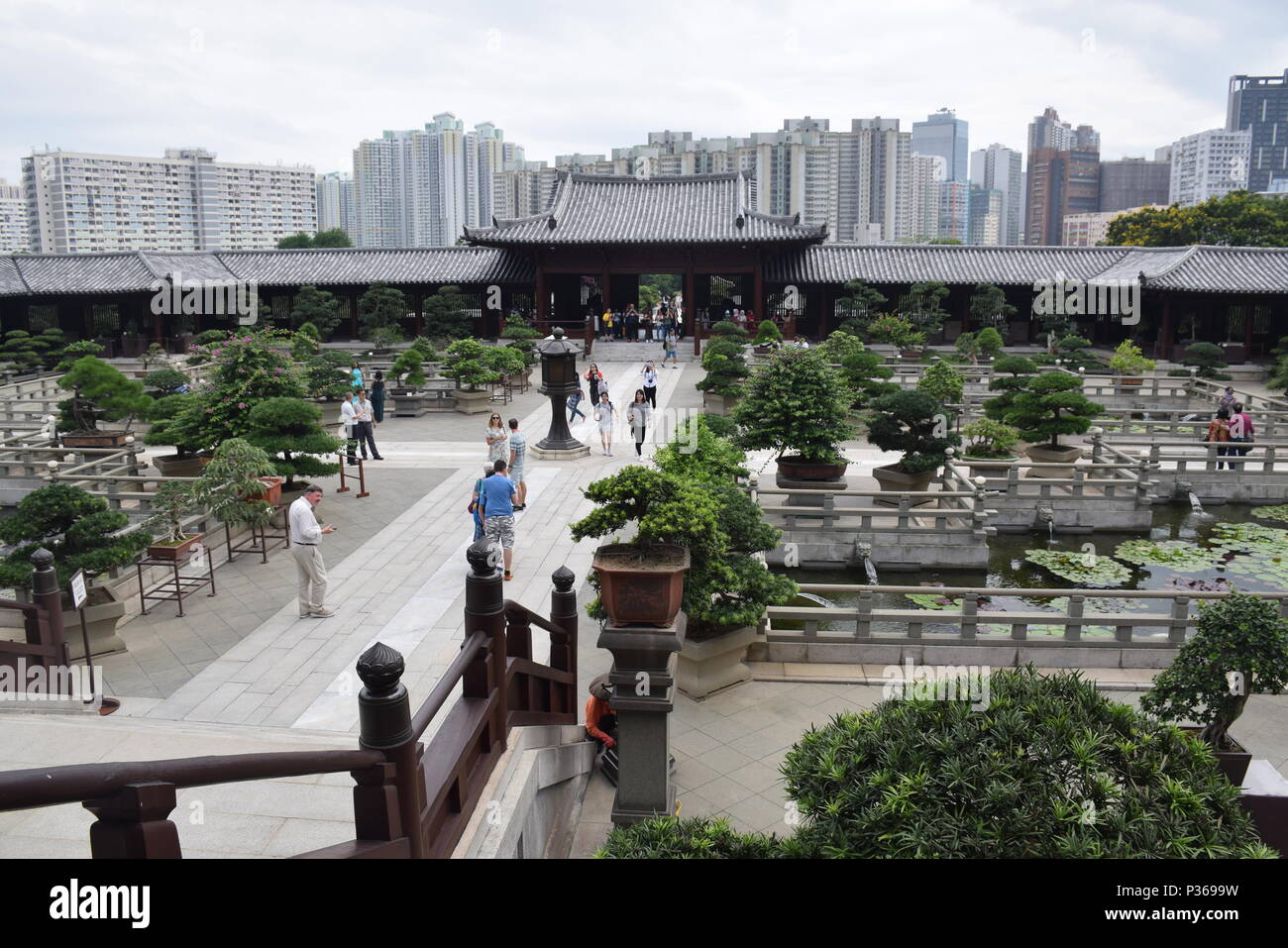 Avis de Chi Lin nunnery buddhist temple in Diamond Hill, Hong Kong - Chine Banque D'Images