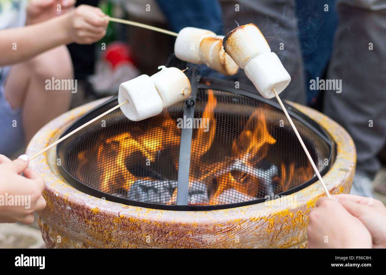 People toasting marshmellows sur open fire pit at garden party Banque D'Images