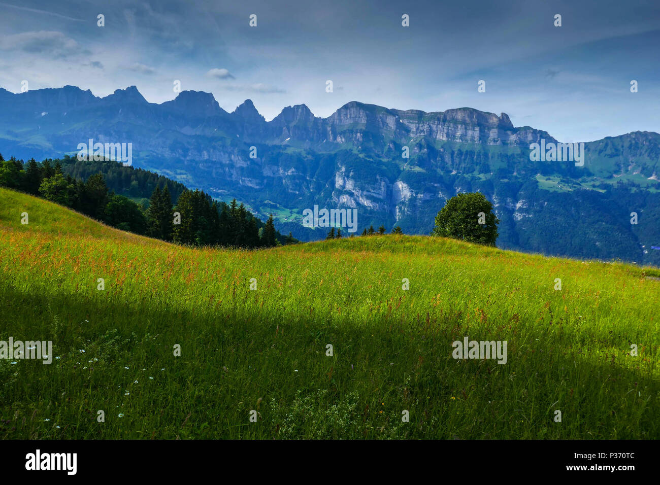 Les prairies alpines et les pics, Tannenheim, Flums, Suisse Banque D'Images