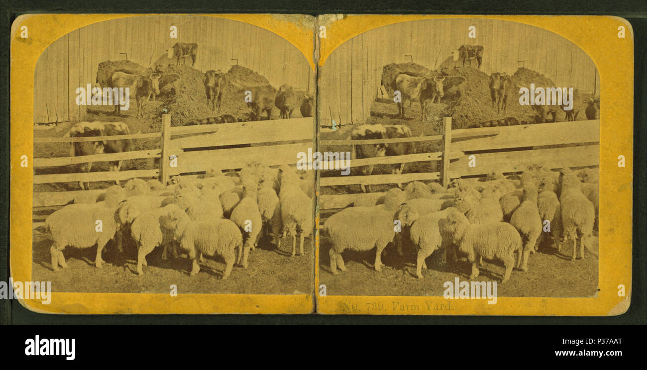 103, cour de ferme par Kilburn Brothers 6 Banque D'Images