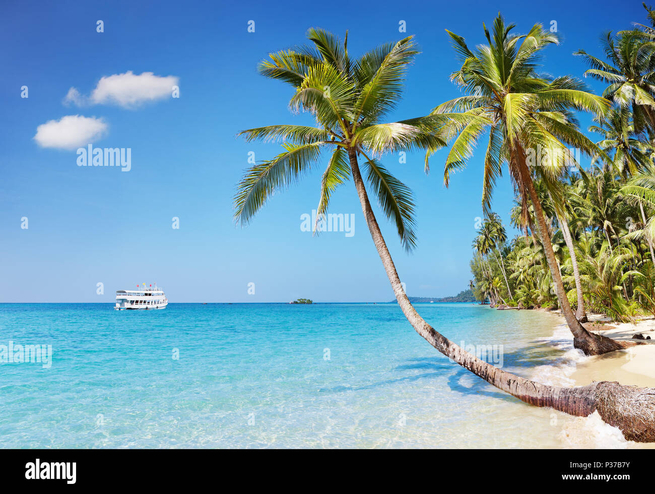 Plage tropicale avec palmiers, Kood island, Thaïlande Banque D'Images