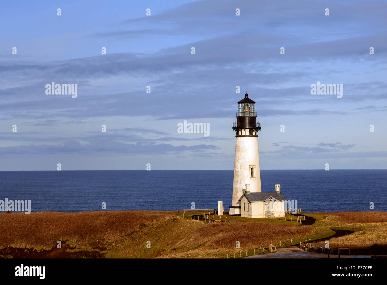 Ou02489-00...OREGON - Yaquina Head, dans l'Oregon en zone naturelle exceptionnelle du parc d'état de Yaquina Head. Banque D'Images