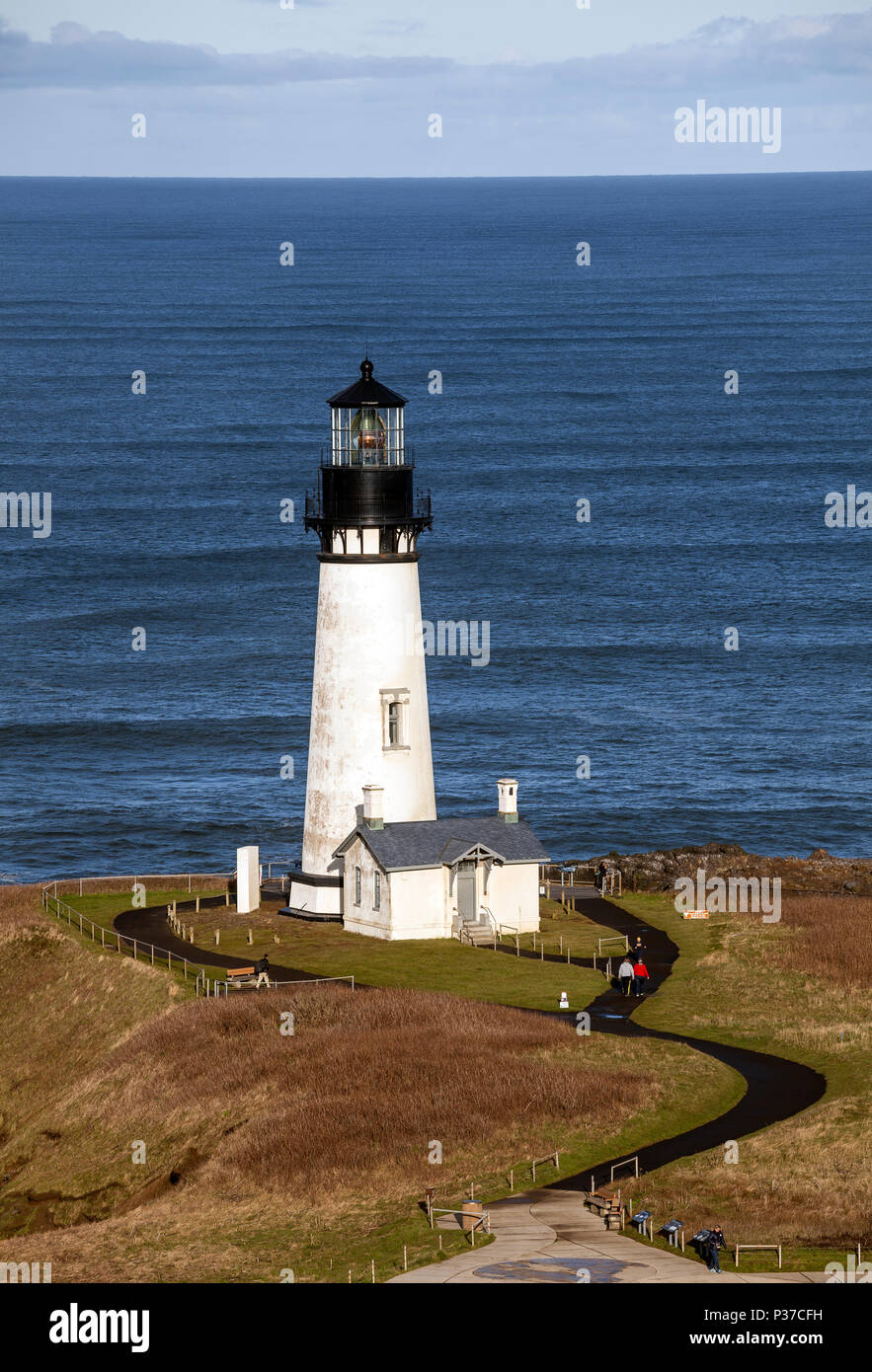Ou02491-00...OREGON - Yaquina Head, dans l'Oregon en zone naturelle exceptionnelle du parc d'état de Yaquina Head. Banque D'Images