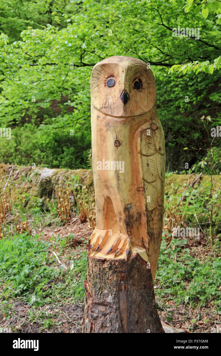 Sculpture Sur Tronc D Arbre Facilenull