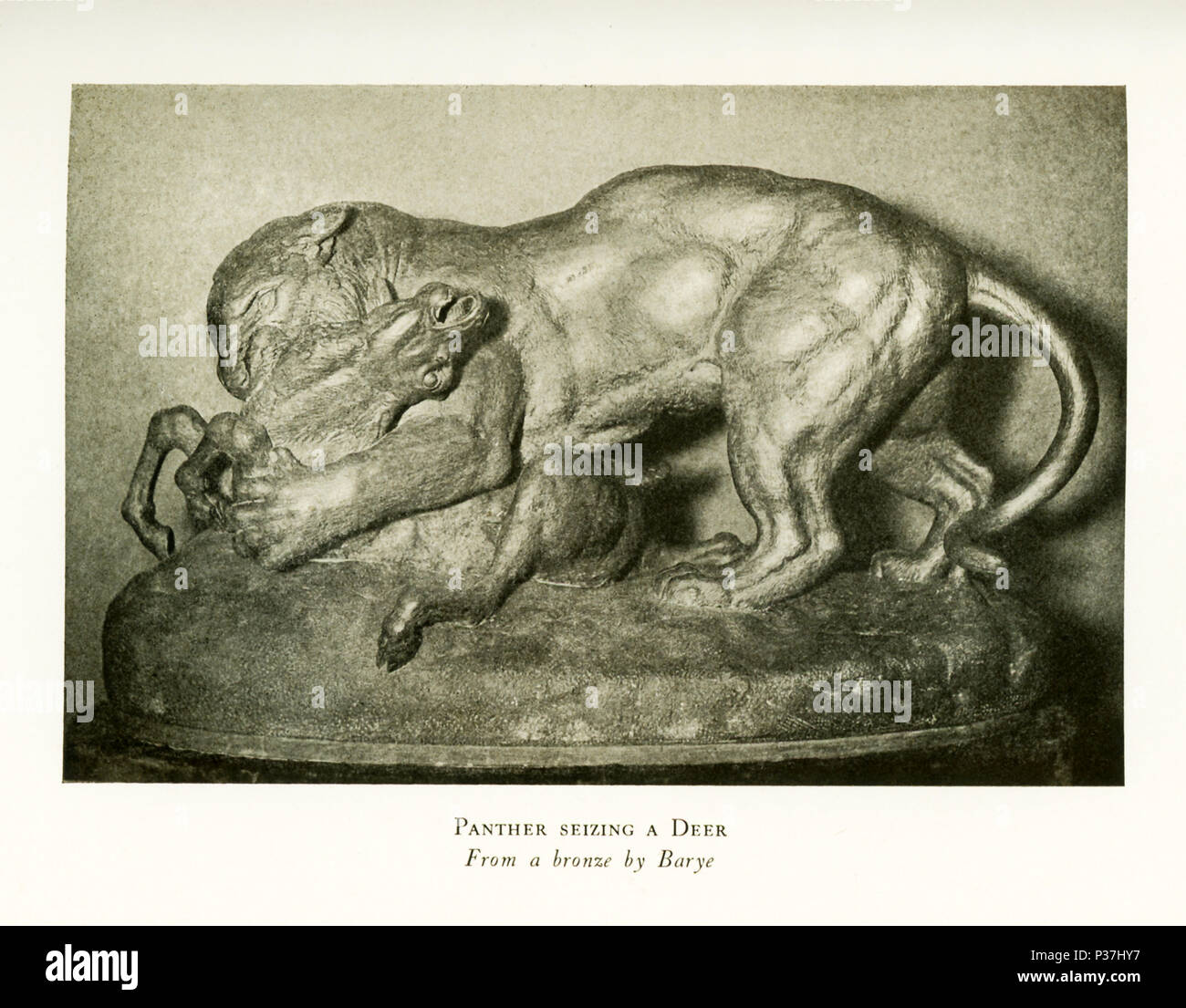 Antoine Louis Barye (1795-1875) était un sculpteur français romantique. Il est surtout connu comme un sculpteur d'animaux (par conséquent, un animalier). Cette sculpture en bronze de Barye est intitulé "Panthère saisissant un cerf." Banque D'Images